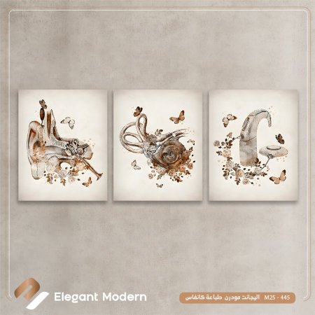 لوحة طبية طقم ثلاث براويز